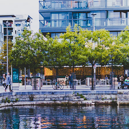 image of waterfront and trees at dublin's business services district