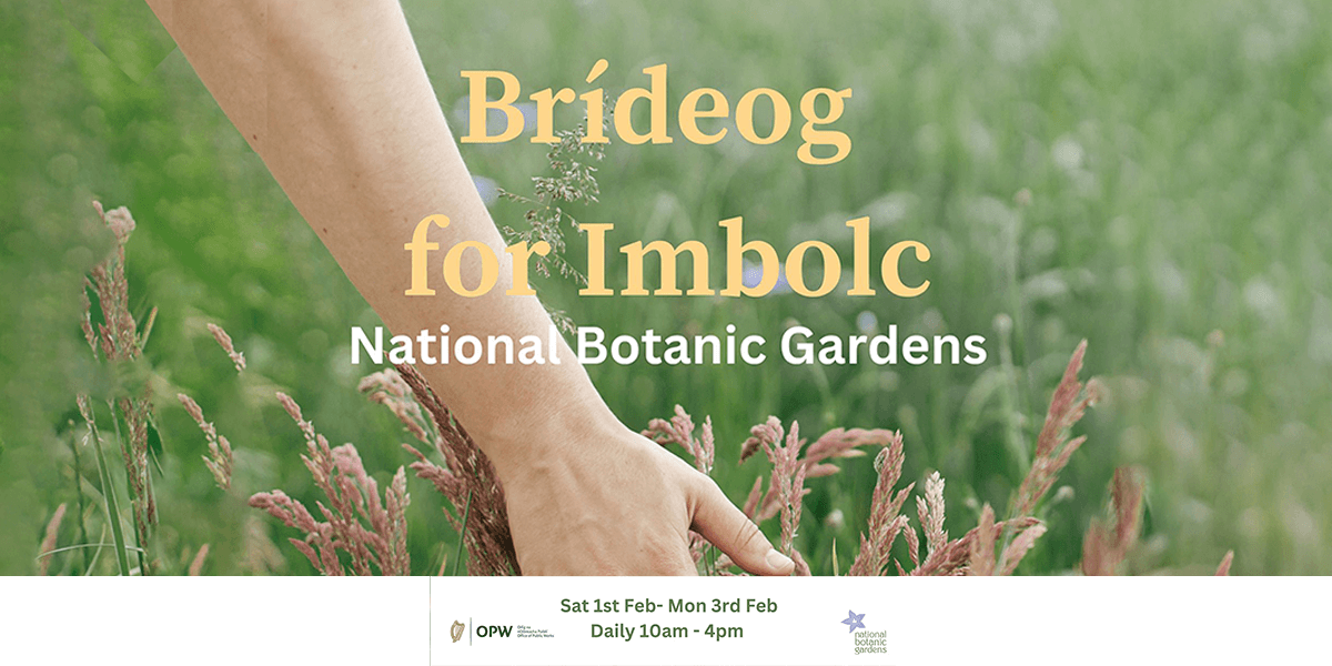 Brideog for Imbolc