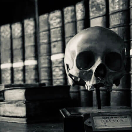 A skull upon a plinth in a library.