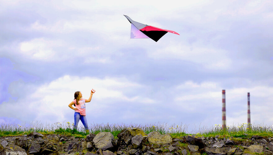 Bull Island & the Dublin Bay Biosphere. Image: Girl flying a kite with the Poolbeg Towers in the background.