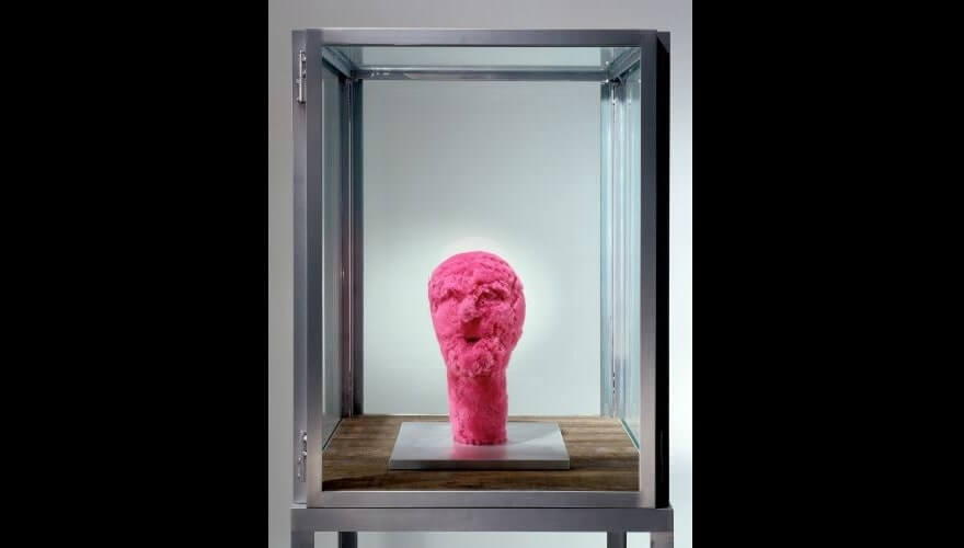 pint head sculpture in glass display case