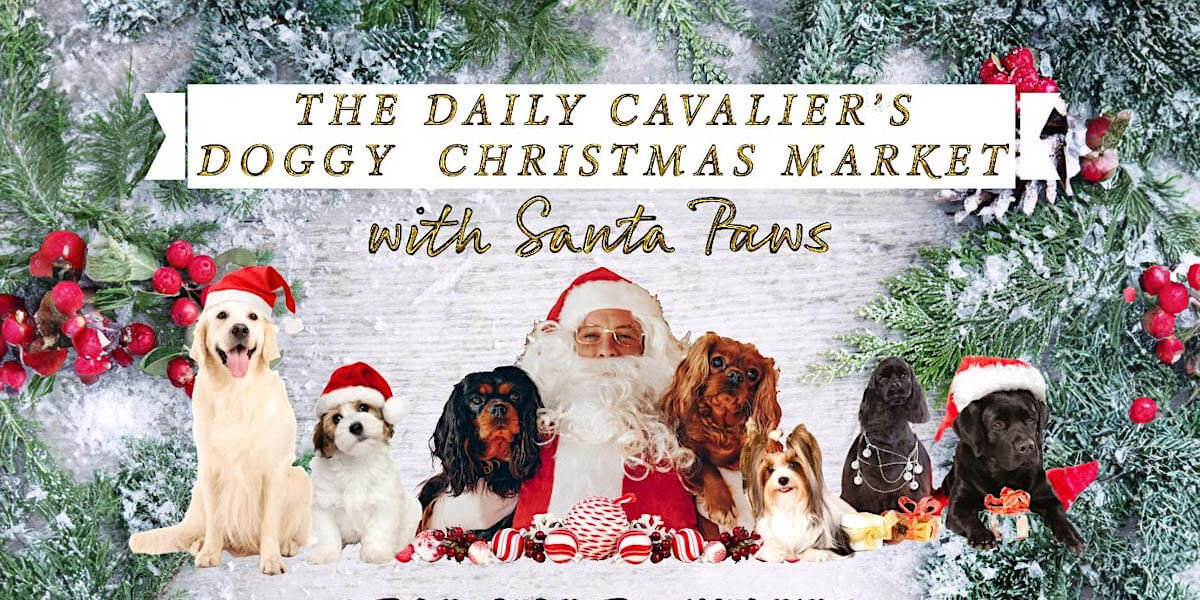 Doggy Christmas Market & Santa Paws