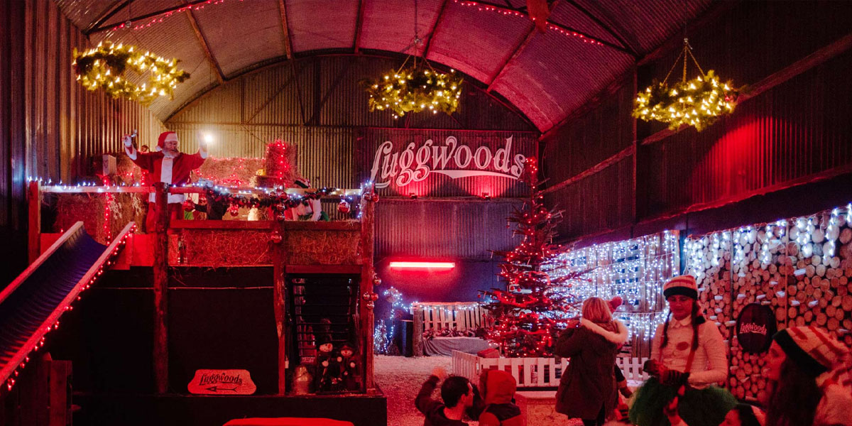 Santa’s Enchanted Forest @ Luggwoods