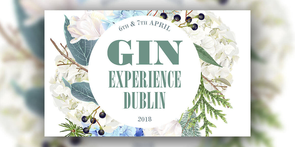 Gin Experience Dublin 2019