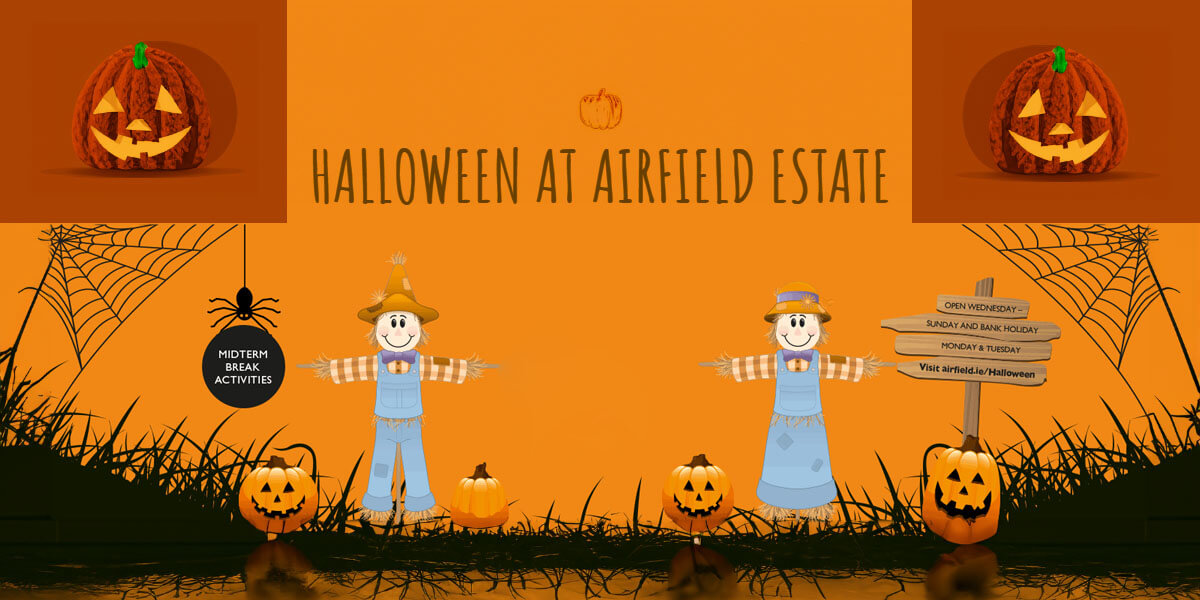 Halloween at Airfield Estate