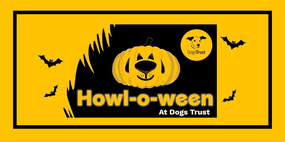 Howl-o-ween