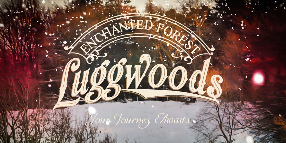 Santa’s Enchanted Forest @ Luggwoods