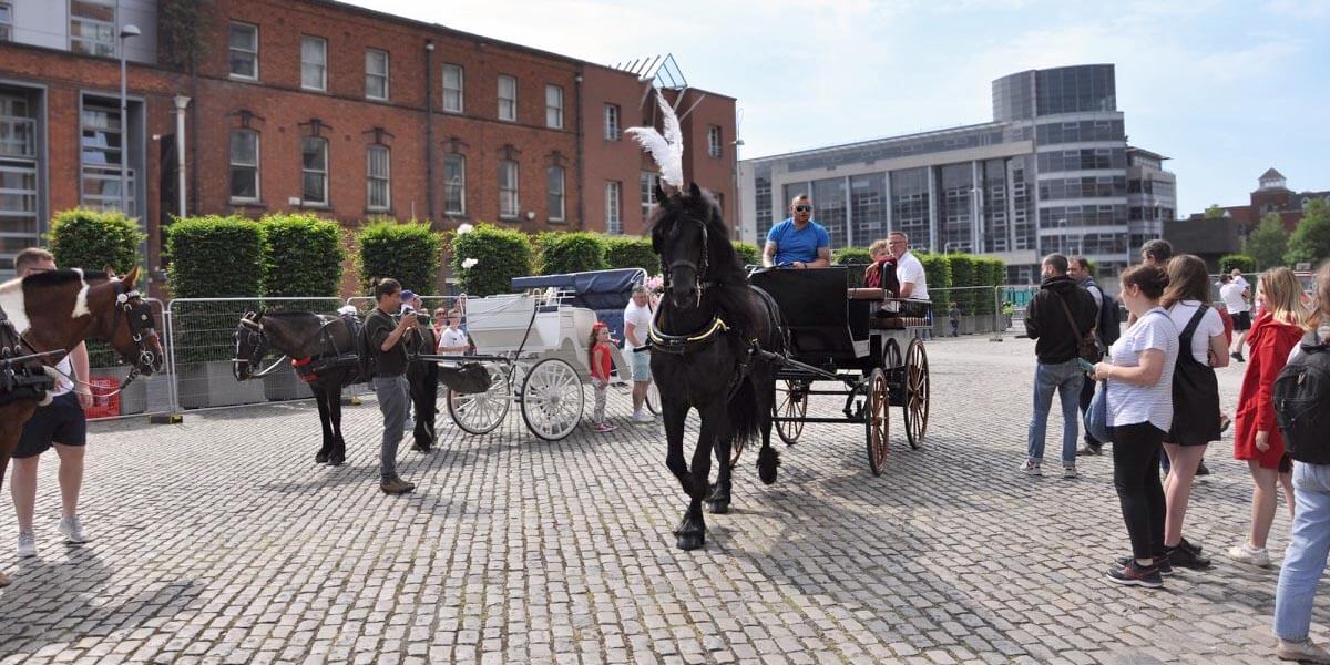  Smithfield Horse Fair  Dublin ie