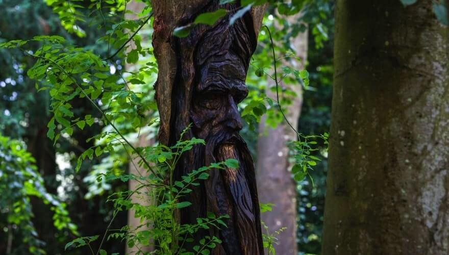face sculpted in wood among leaves and trees