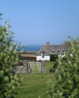 thatched roof cottage on lambay island